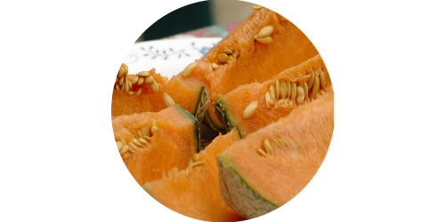 Melon Cantaloupe (FA)