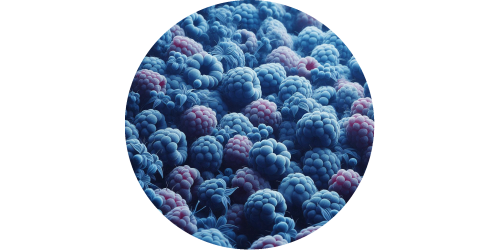 Framboise Bleue (ESS)