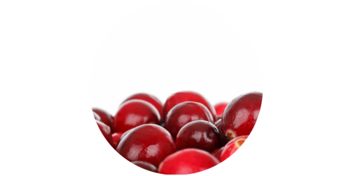 Cranberry (FLV)