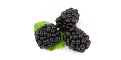 Blackberry (FLV)