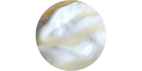 Greek Yogurt (FLV)