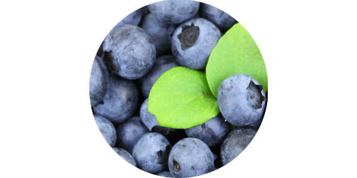 Blueberry (FLV)
