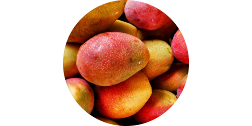 Mango Juice (VTRN)