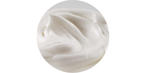 Cream Custard (WFSC)