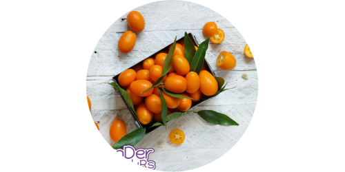 Kumquat (WFSC)